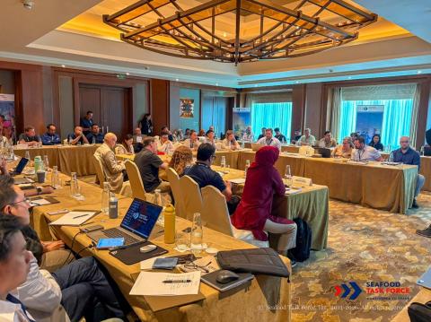 STF Summit Tuna Breakout