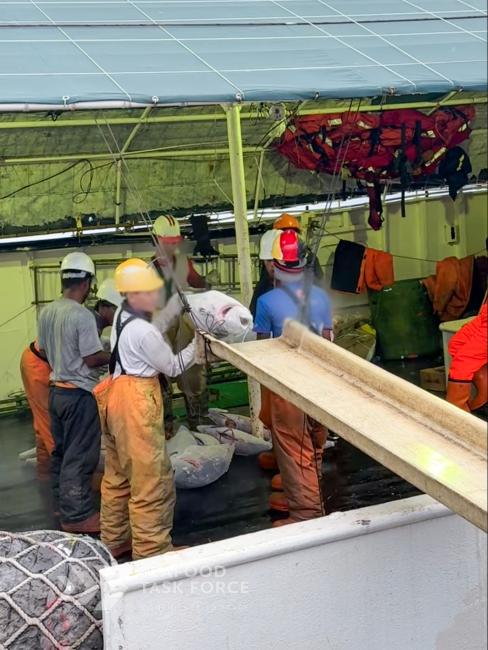 Tuna Vessel Audit